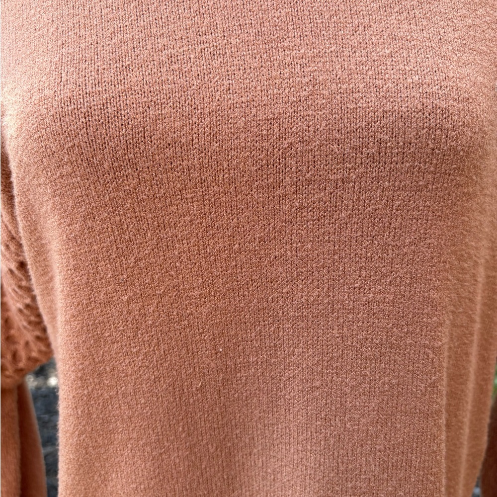 BB Dakota / Steve Madden; Warm Brown Long Sleeve Dress - Picture 8 of 10